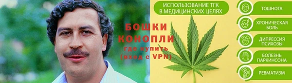 стаф Белоозёрский