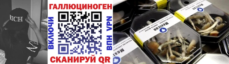 закладки  Грозный  Галлюциногенные грибы Cubensis 